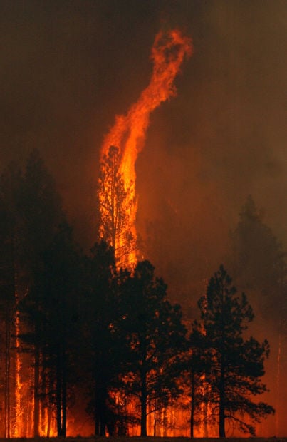 The Rodeo-Chediski Fire in 2002